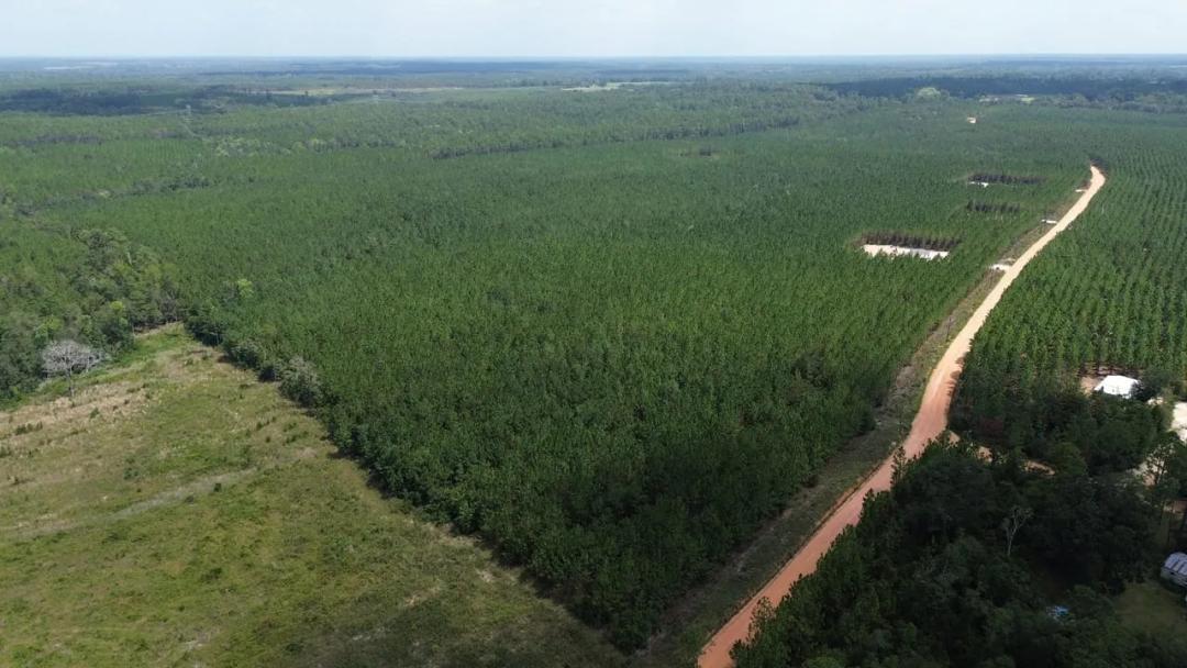 5.67 -/+ Acres Tract in Penny Morris Road, Baxley, GA