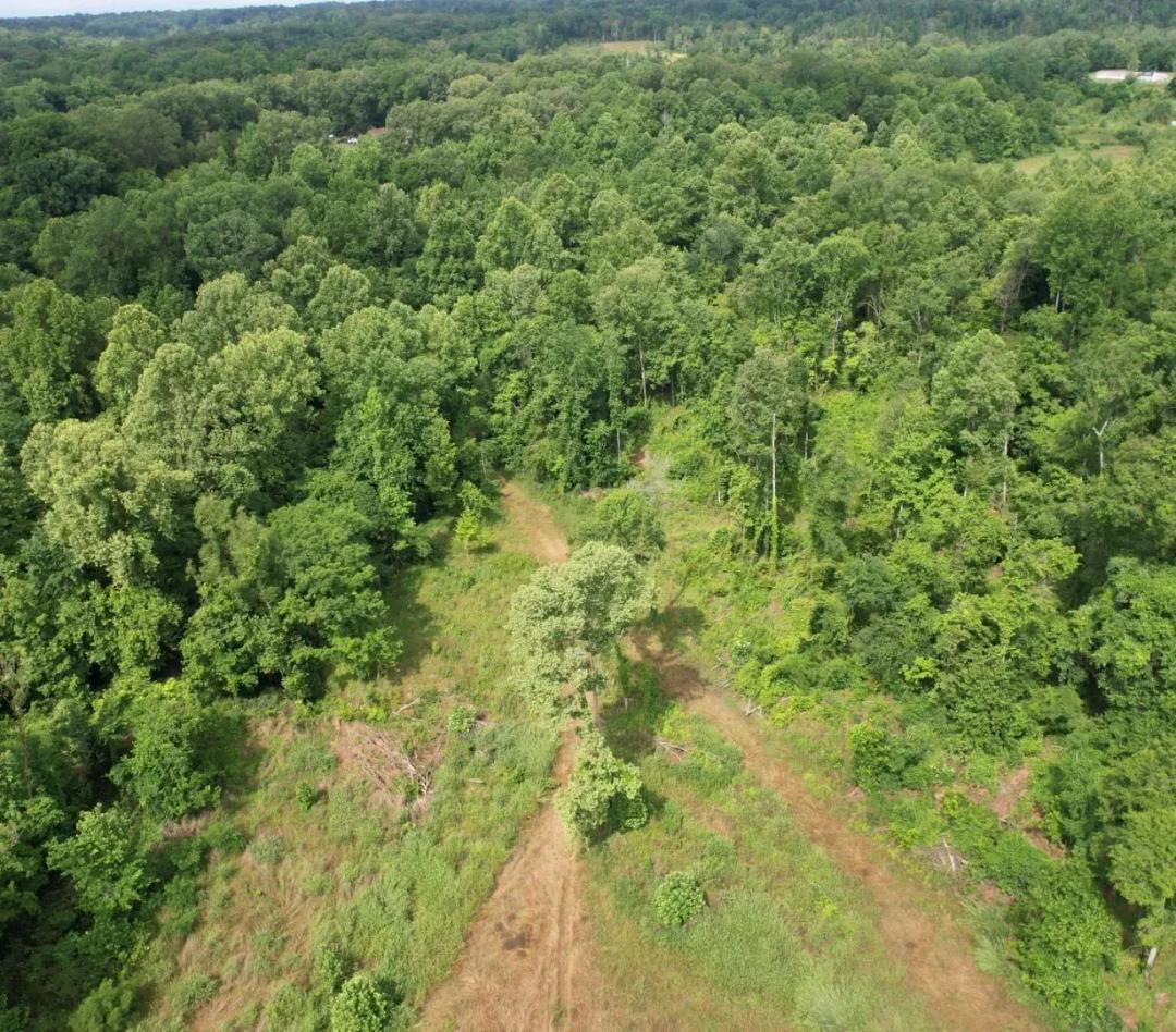 295 Acres in Warren County in Vicksburg, MS