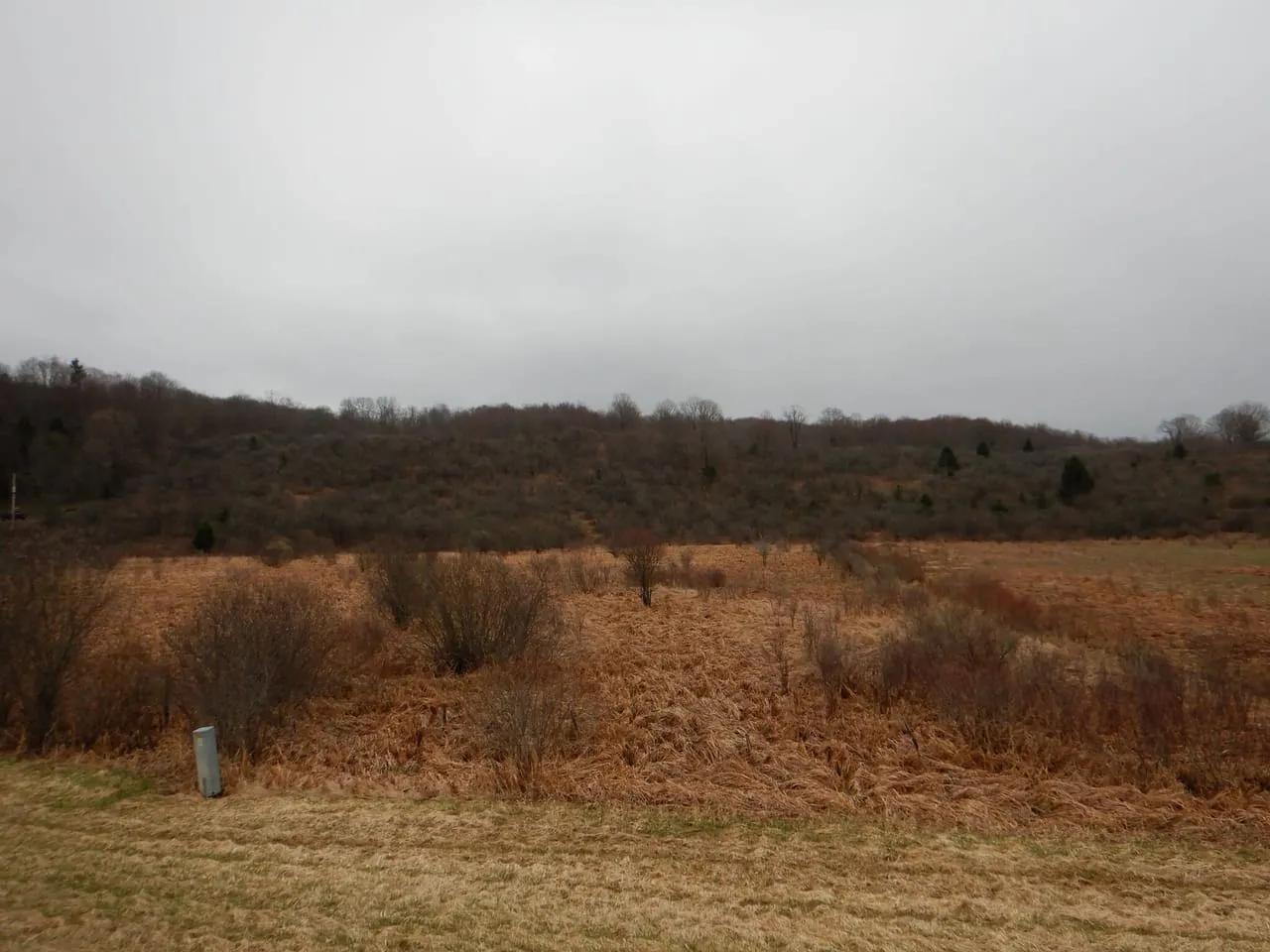 16517783-1