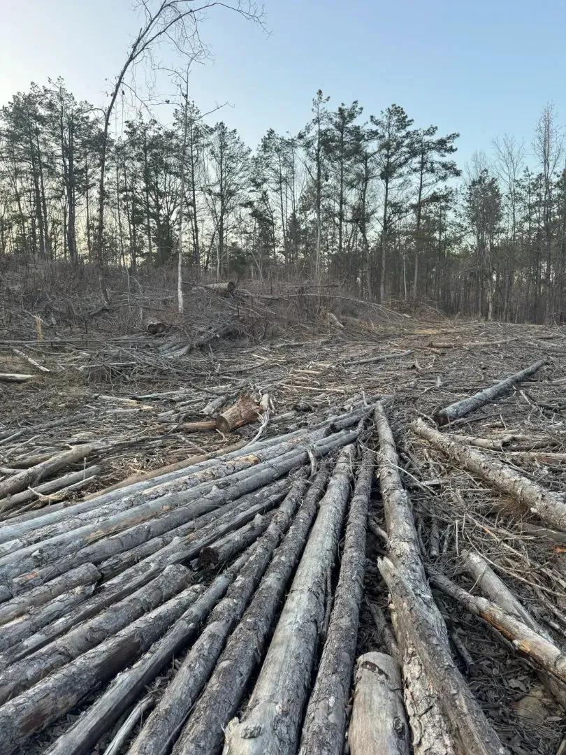 70.1 Acres in Yalobusha County, MS