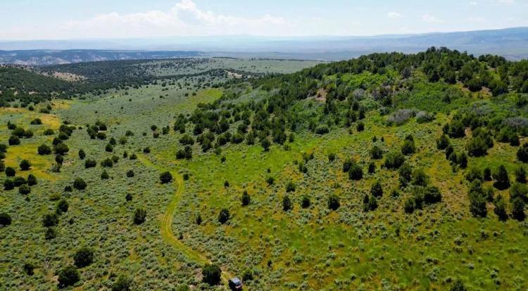 Maybell Grazing &amp; Big Game Ranch