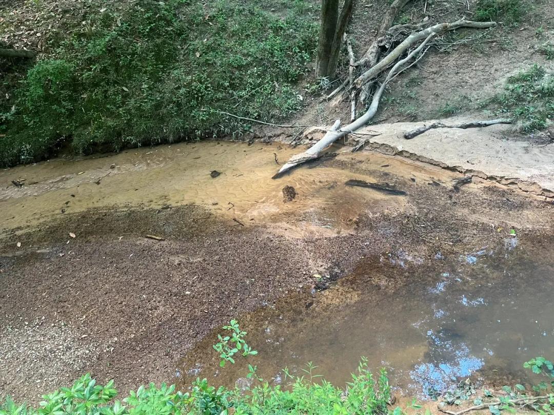 42.75 Acres in Amite County, MS 
