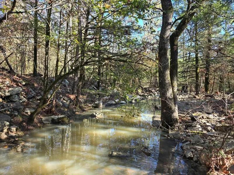 Poteau Mountain Recreational Property- Adjoining National Forest