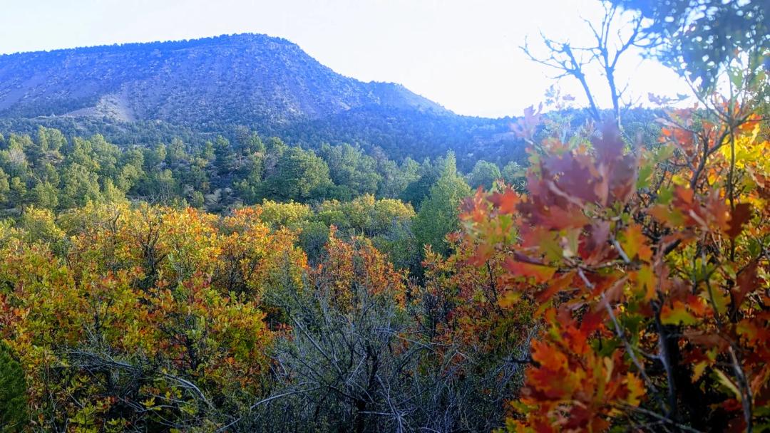 Picnic Flats Hunting Ranch