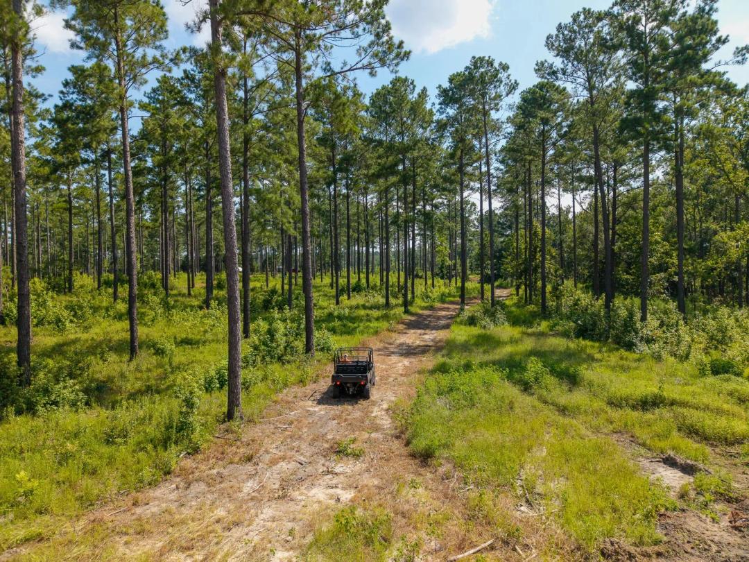 Moxley Farm - 197 Acres Tattnall County, GA 