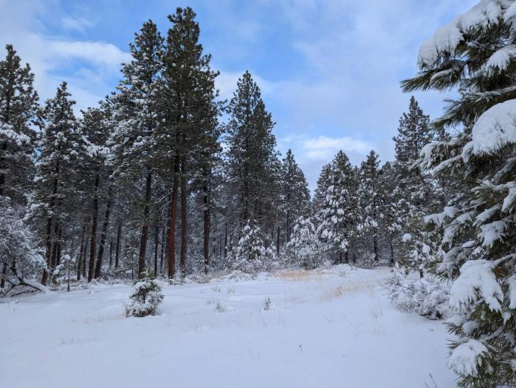 Eastern Oregon 10 Mile Camp
