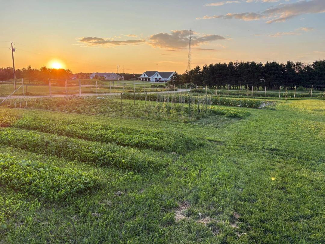 28.00 Acres at 967 65th Avenue