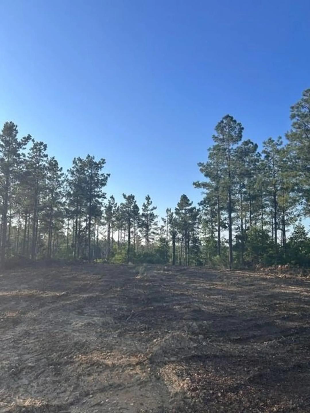 Gant Ridge — 952± Acres | Olivehill, Wayne County, Tennessee | Turkey, Deer & Timber