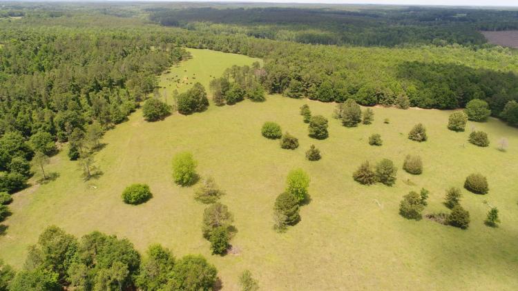 198+/- acres Crenshaw Co Red Hills