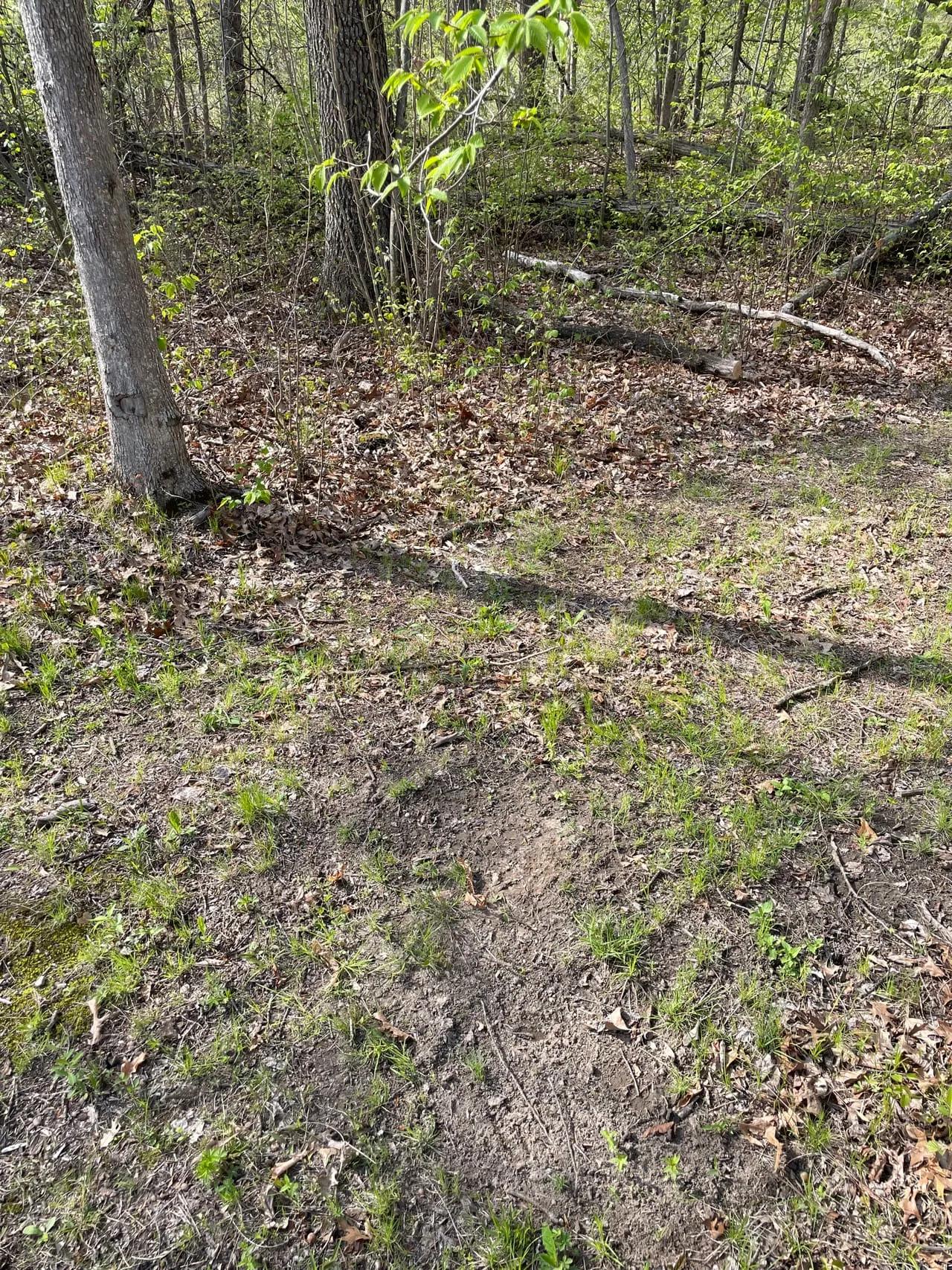 16685707-78