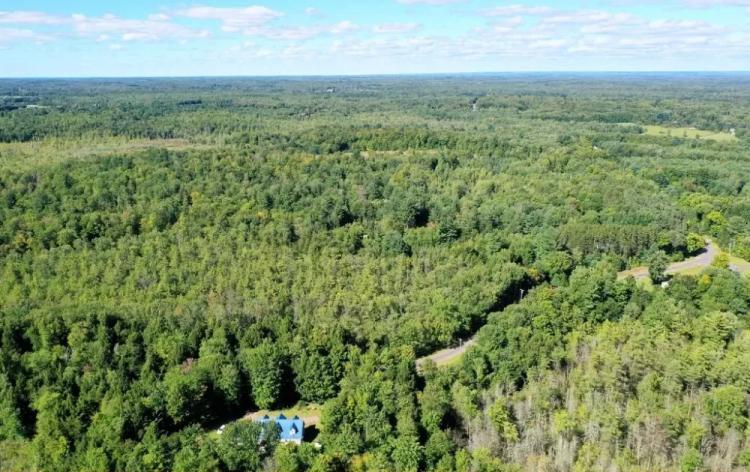 Discover the Beauty of  1.28 Acres in Oswego County, NY