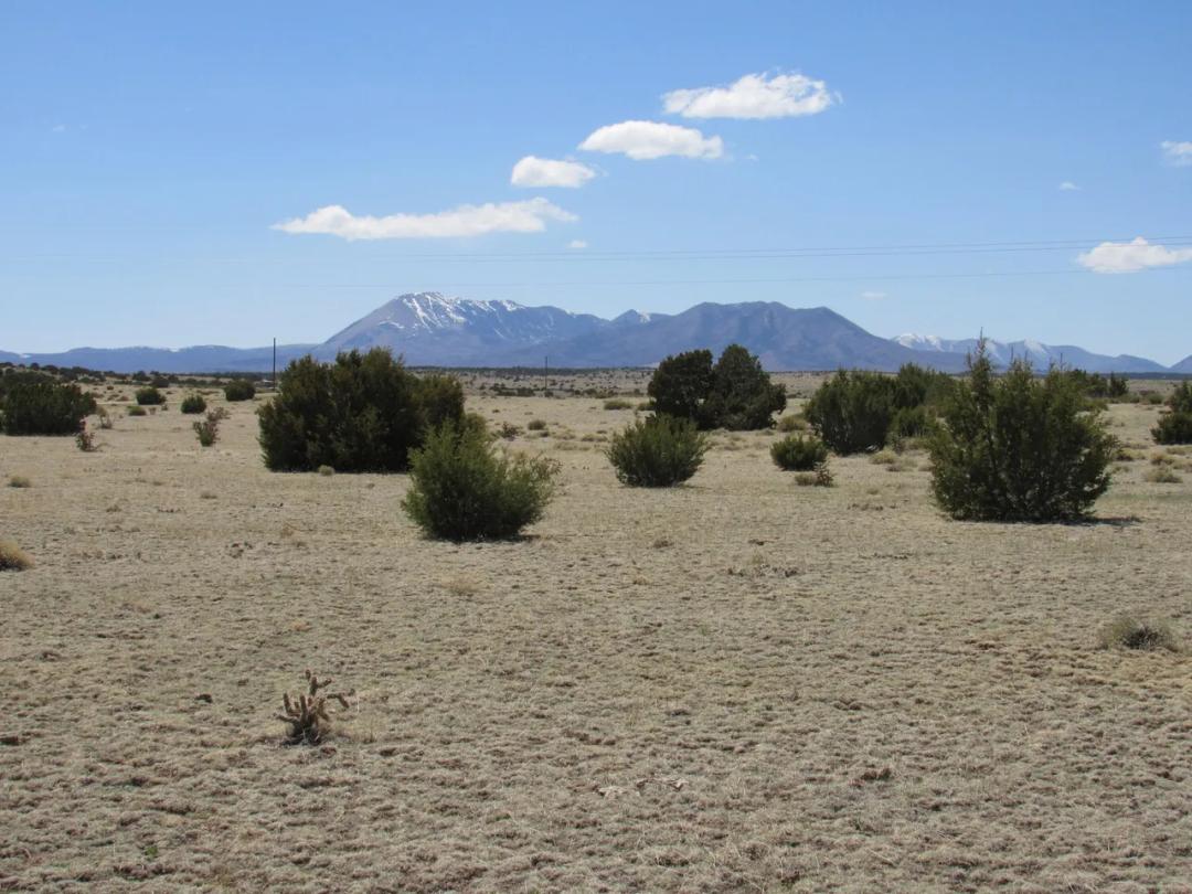 Walking Distance to State Park & Lake