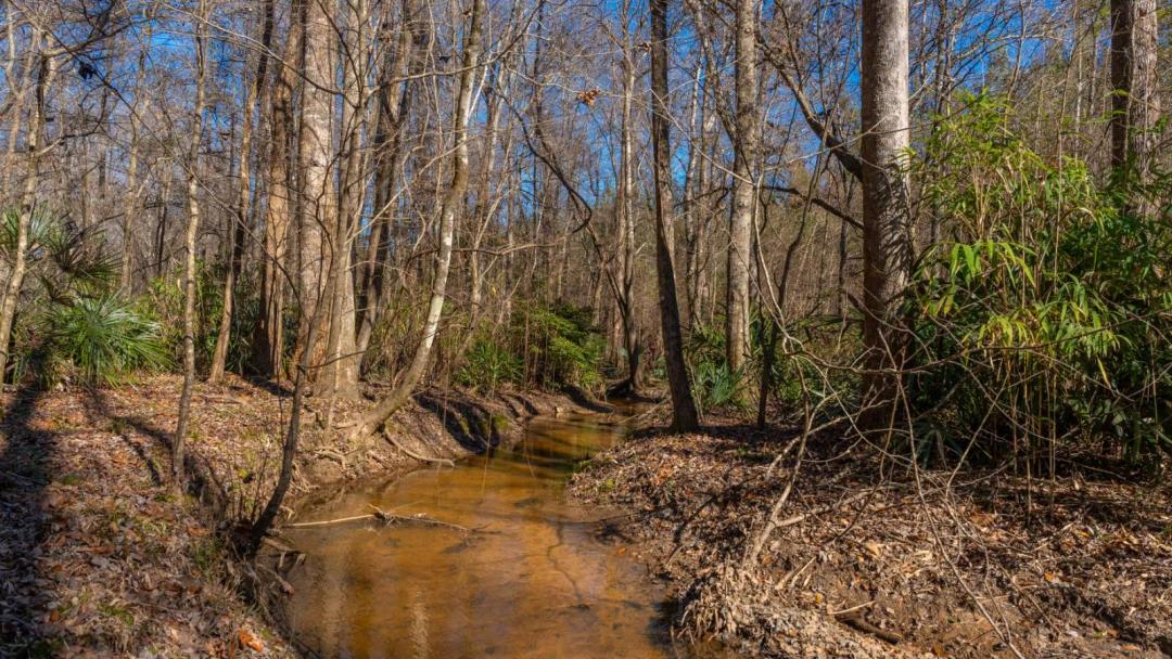 403± Total Acres - Minick Tract - Merchantable Planted Pine