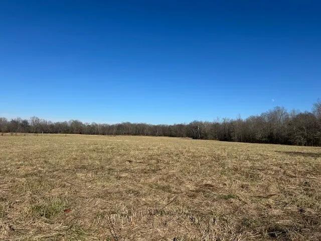 110.00 Acres at 0 Spring Valley Rd