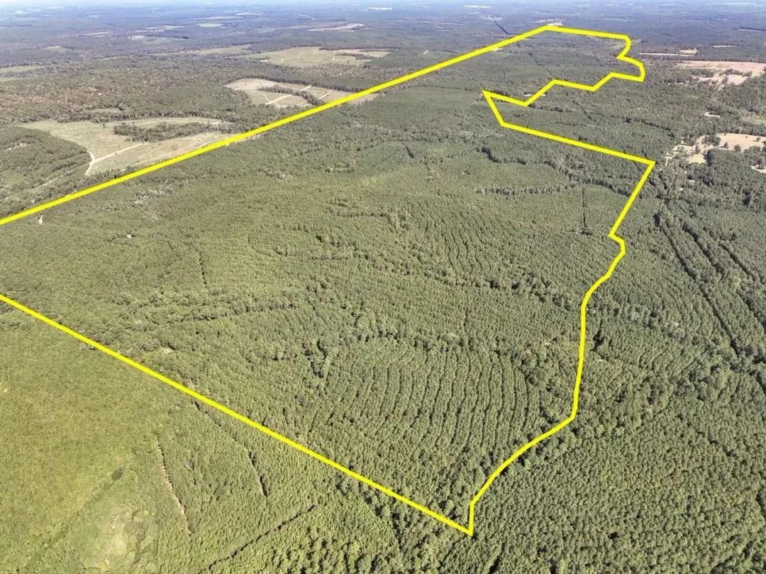 210 Acres | T-2 | County Road 2150 | Tyler County