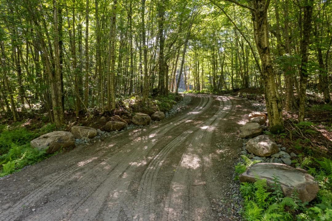 10 Acres in the Hawk Mountain Forest