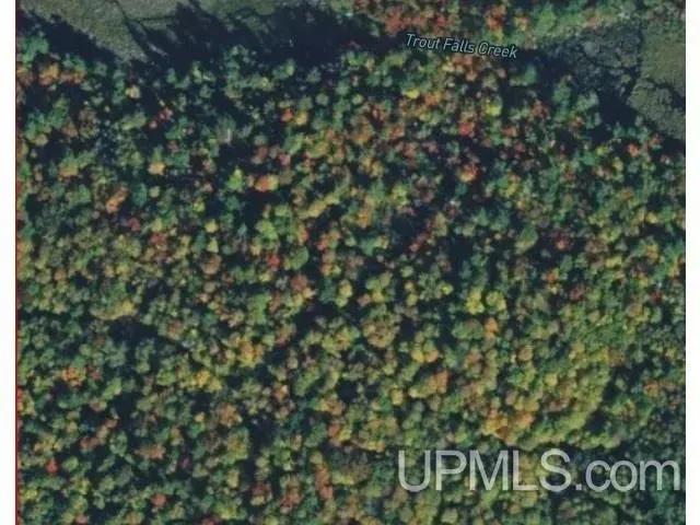 77.19 Acres of Land for Sale in Republic, MI