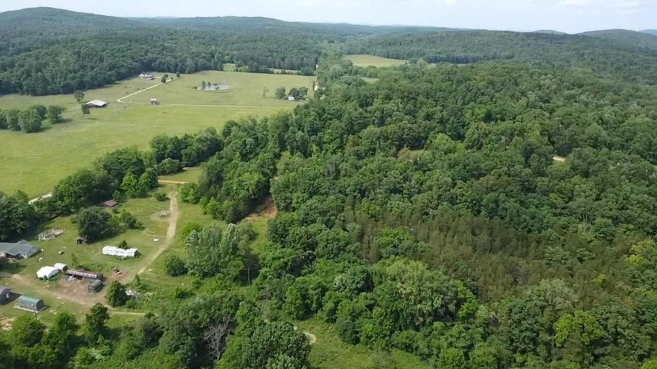 16861676-30
