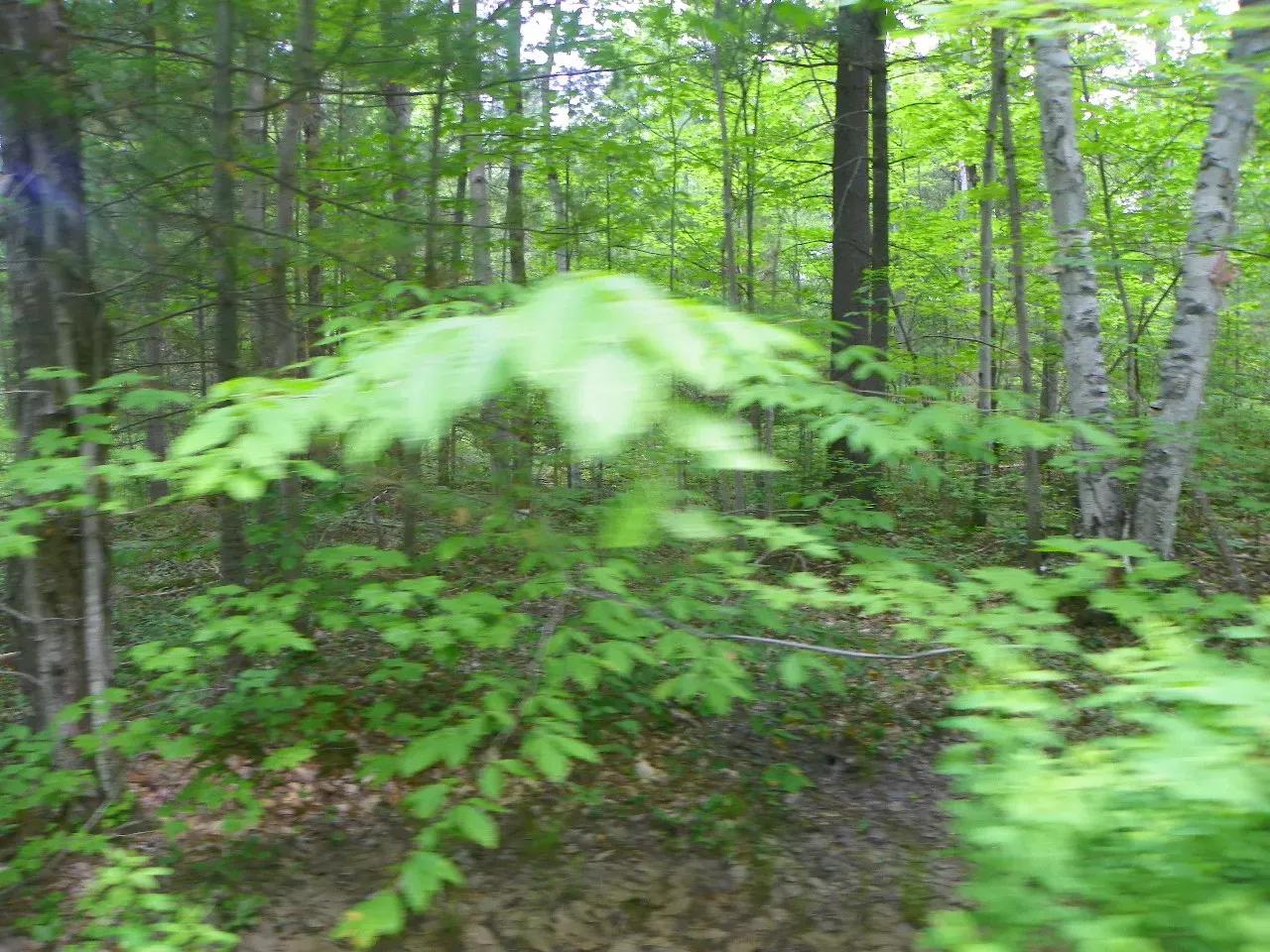 100_9342