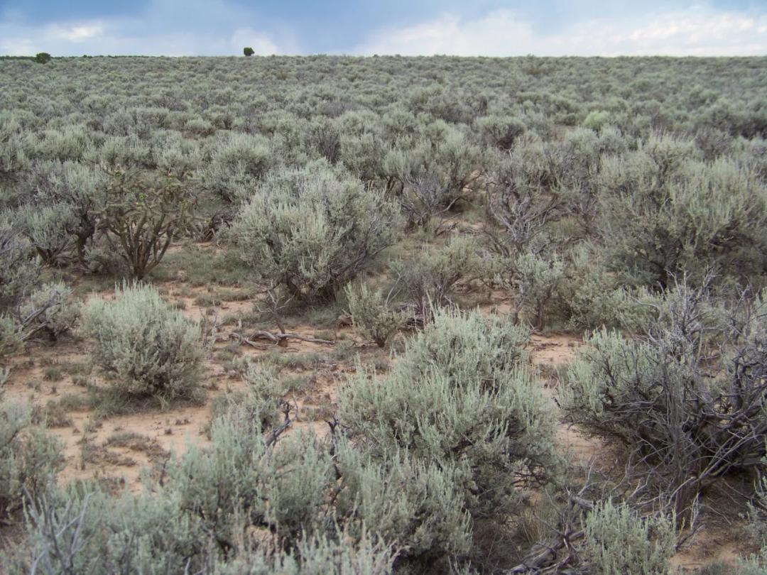 Mesa Hills on Black Mesa wide open spaces