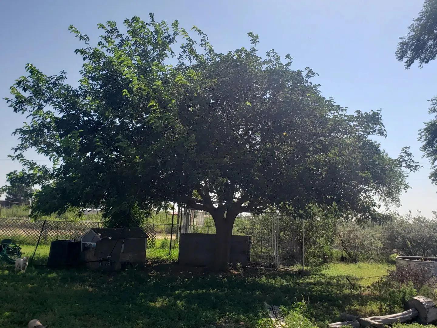 16895878-25