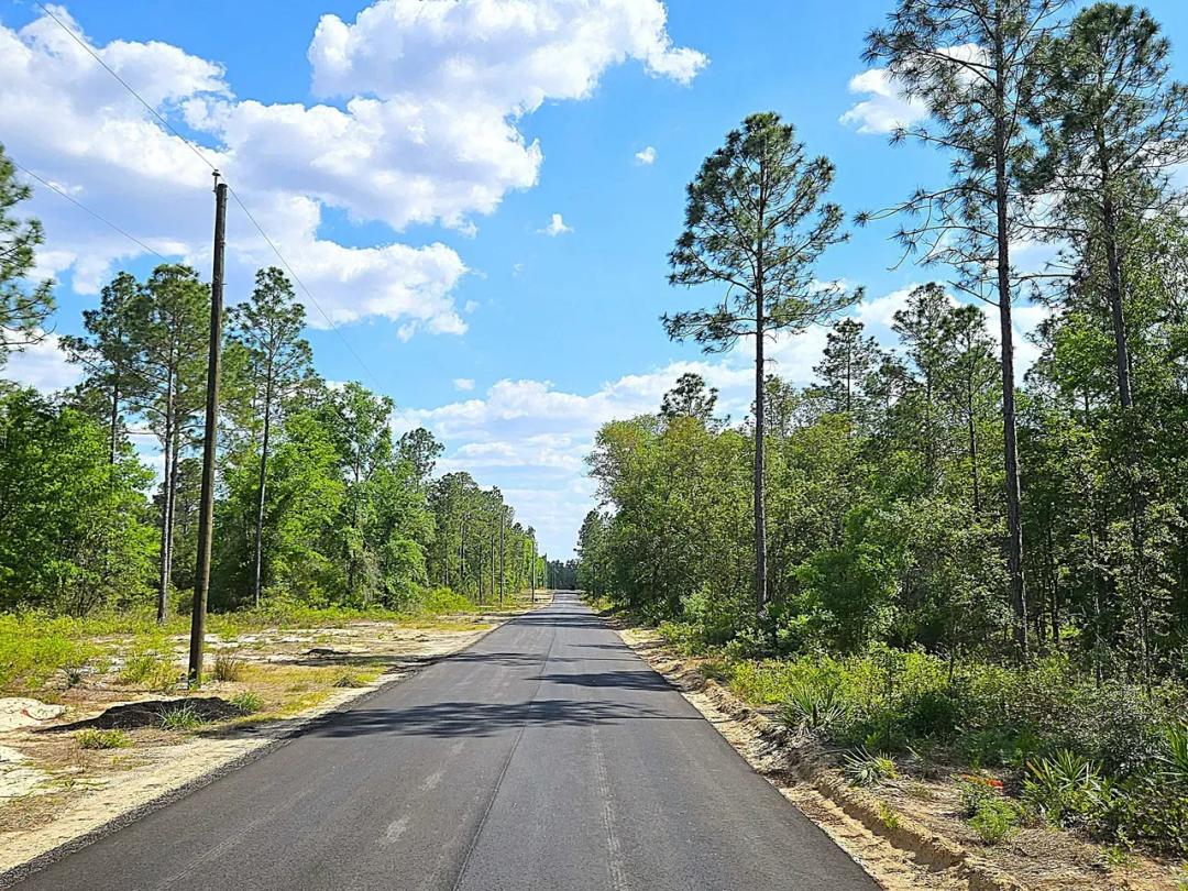 Lot 5 - The Reserve Phase II Blackshear, GA Pierce County