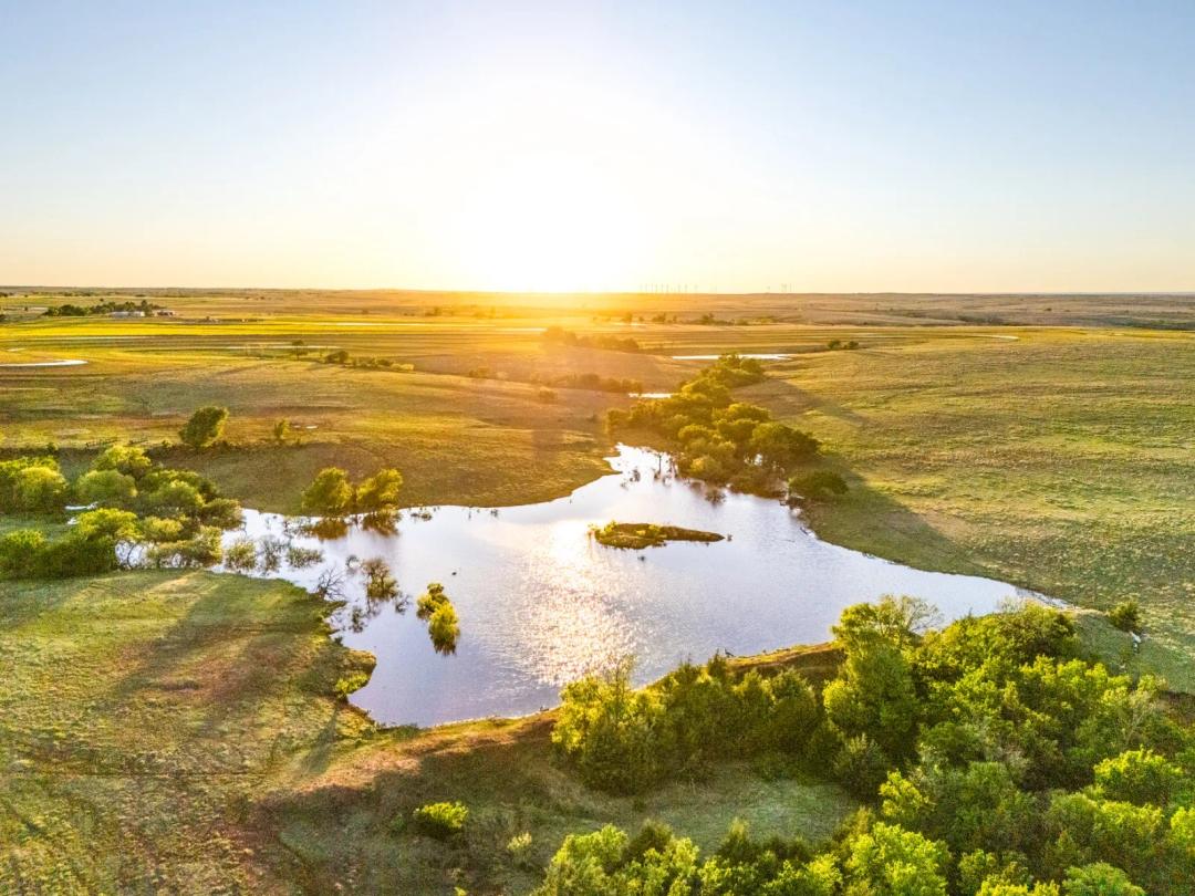 The Foss Ranch
