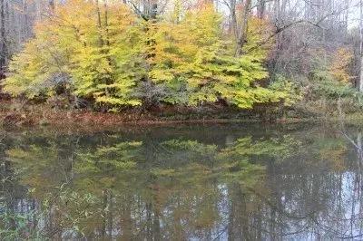 Genesee River Run