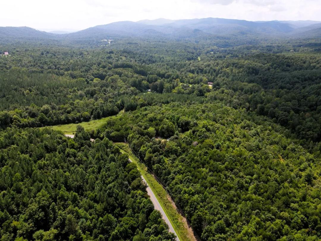39.70 Acres at 5157 Rhoney Rd