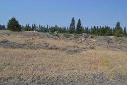 img_7-DSC_1110