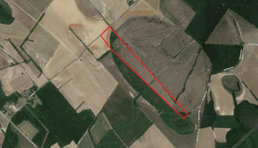 40.06 acres of Recreational and Residential Land for Sale in Marlboro County SC!