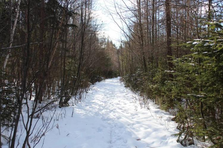 40.00 Acres at 0 NY-30