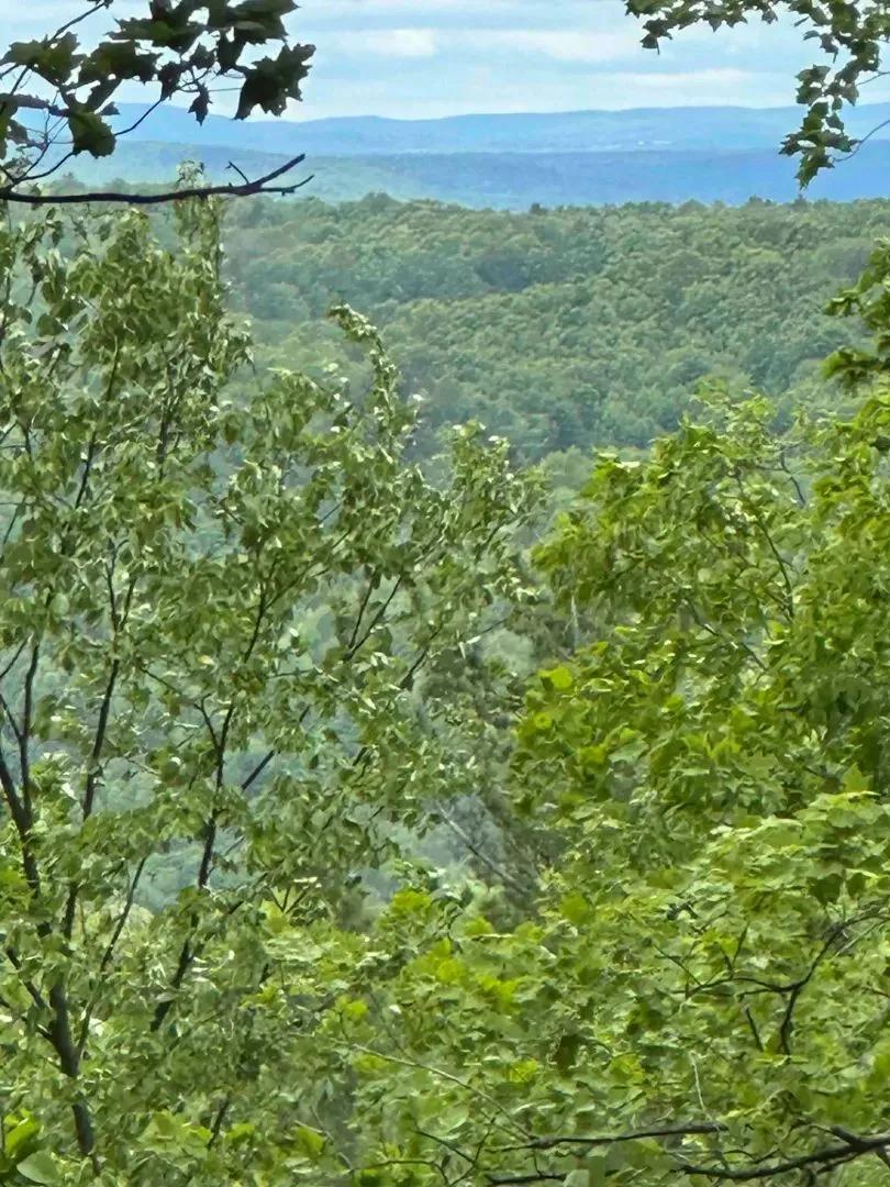 88 acres Wooded Recreational Land with Building Sites in Binghamton NY 1501 Old State Rd
