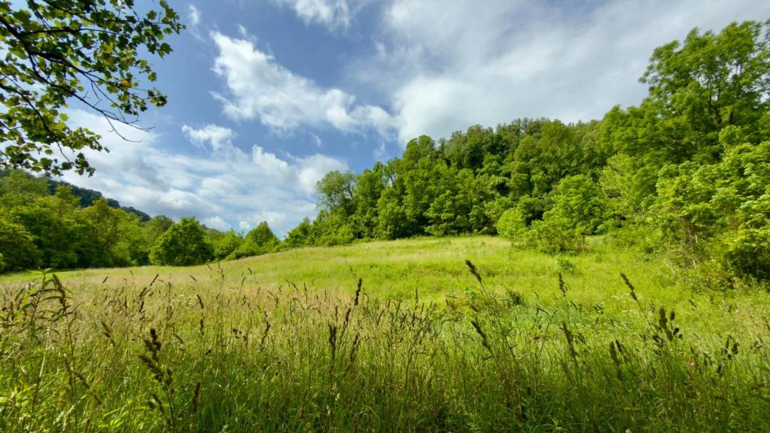 Build-Ready Homesite, Timber &amp; Hunting Land