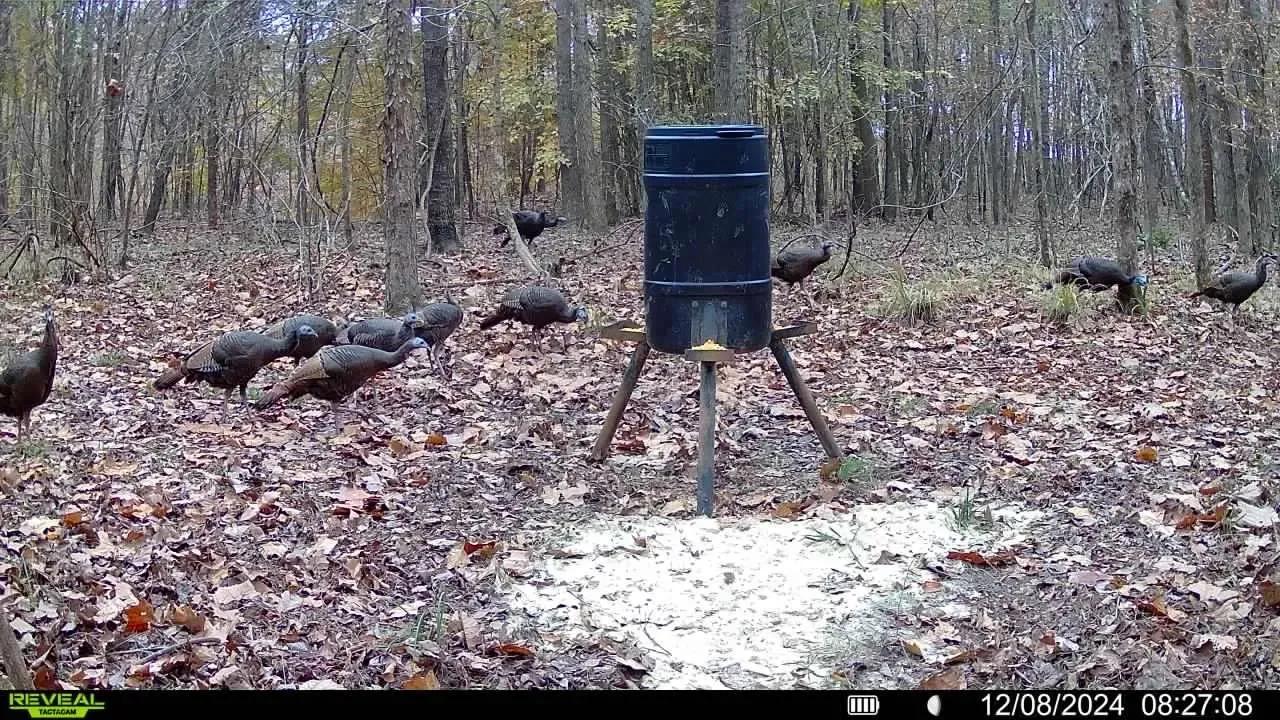 17111915-4