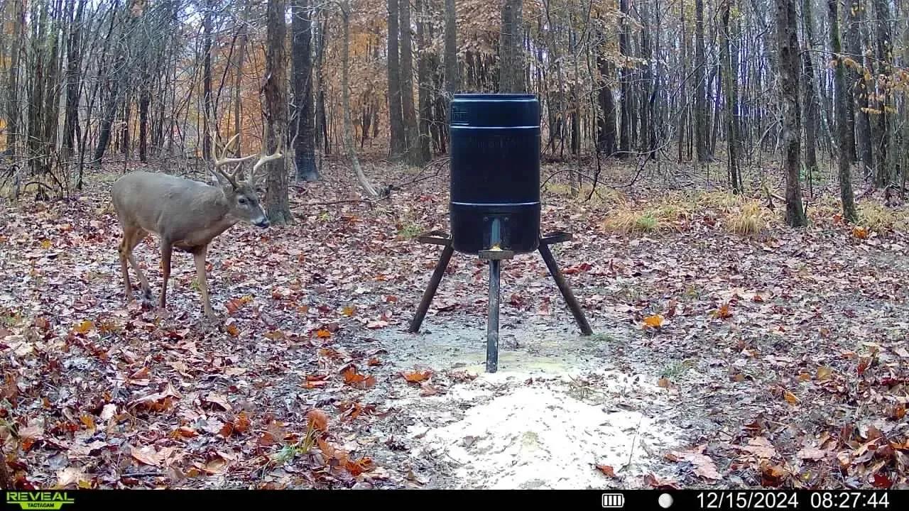 17111915-6