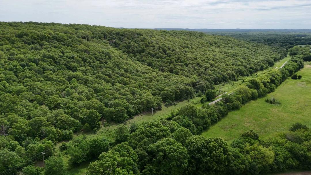 30.5 Acres of Natural Forest &amp; Rolling Hills - Great for Hunting