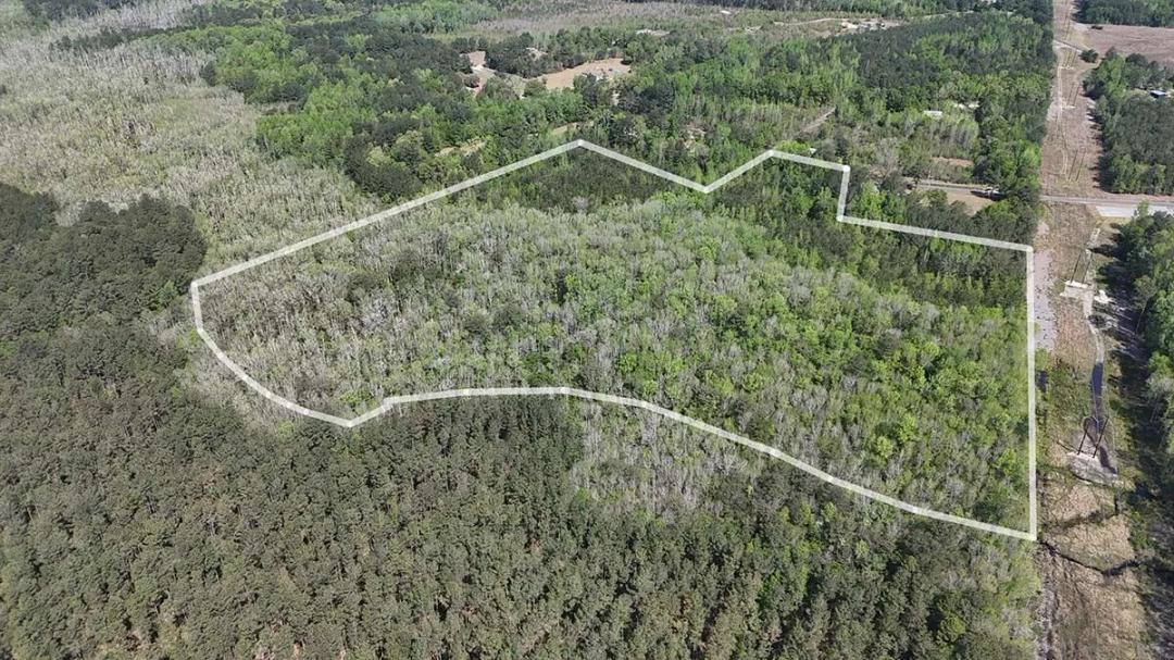 24.60 Acres at  NEAR 2230 Haire Town Road