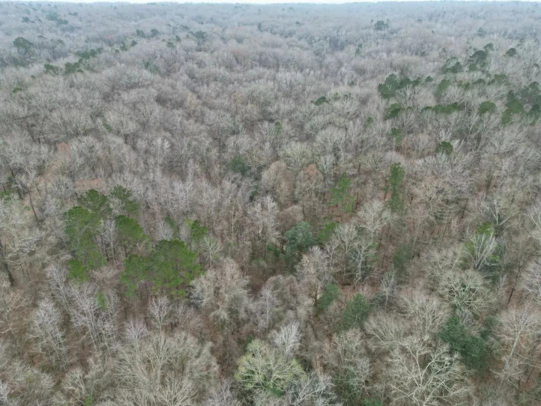 20 Acres in Adams County, MS 