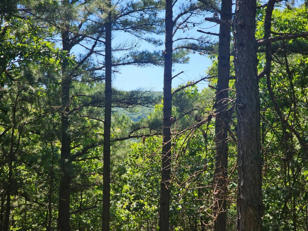 16 ACRES ON WATER TOWER ROAD