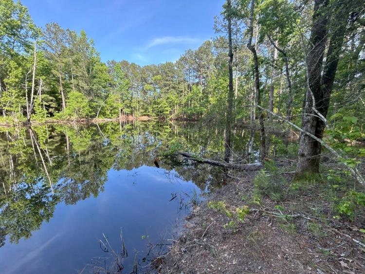 153.99 Acres at  TBD Hwy 952