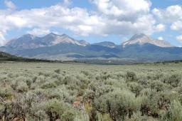 img_L04204-1-Costilla-CO