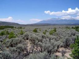 img_L04204-2-Costilla-CO