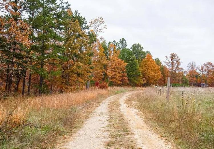 MO, Reynolds, 5.86 Acre Hawkcrest, Lot 6.TERMS $354/Month