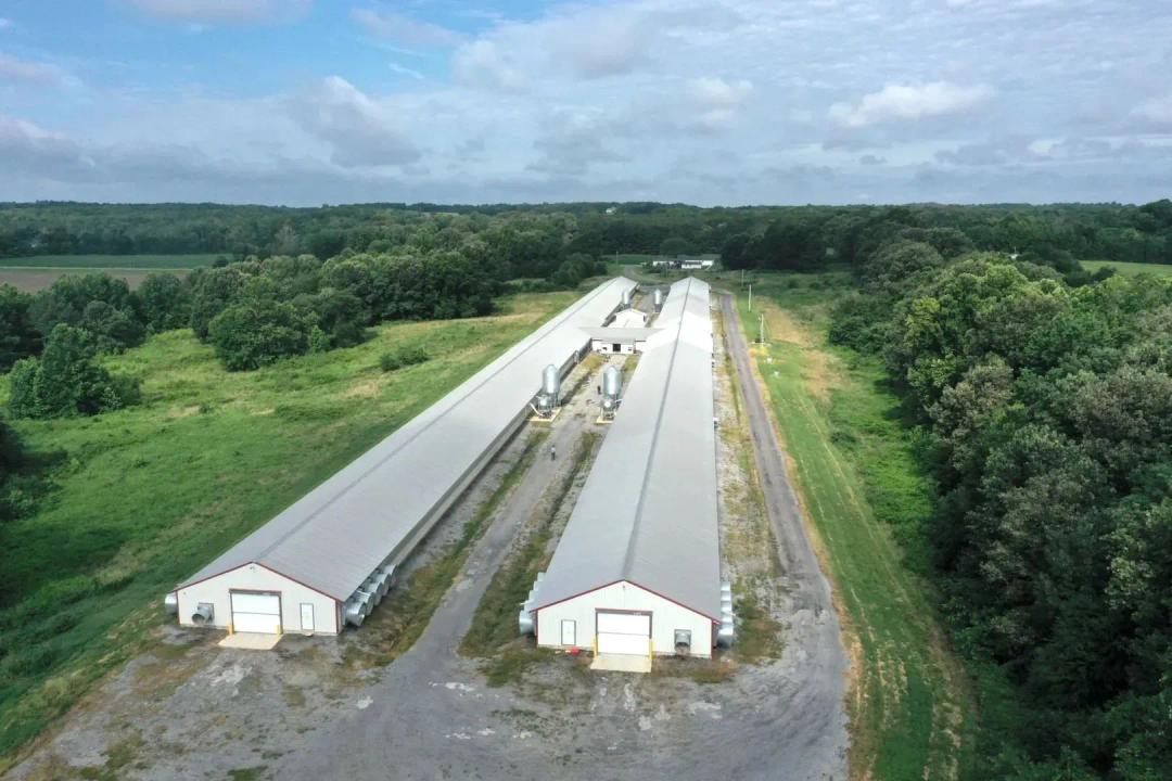 Red Rock Ranch Breeder Farm