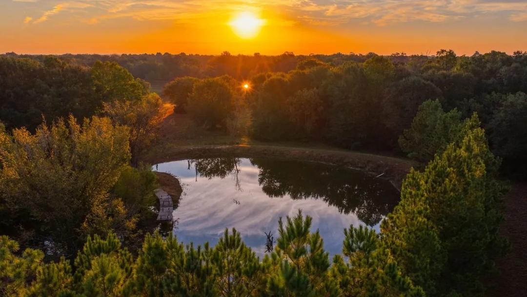 Heritage Oaks Ranch - 103 Acres Premier Deer and Duck Hunting Lamar County