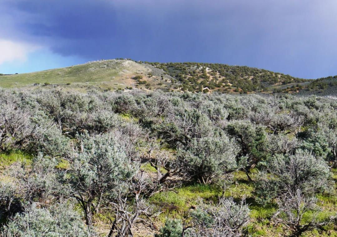 Outskirts of Elko * Bullion Road * Views * Camp RV Build *  Mobiles OK
