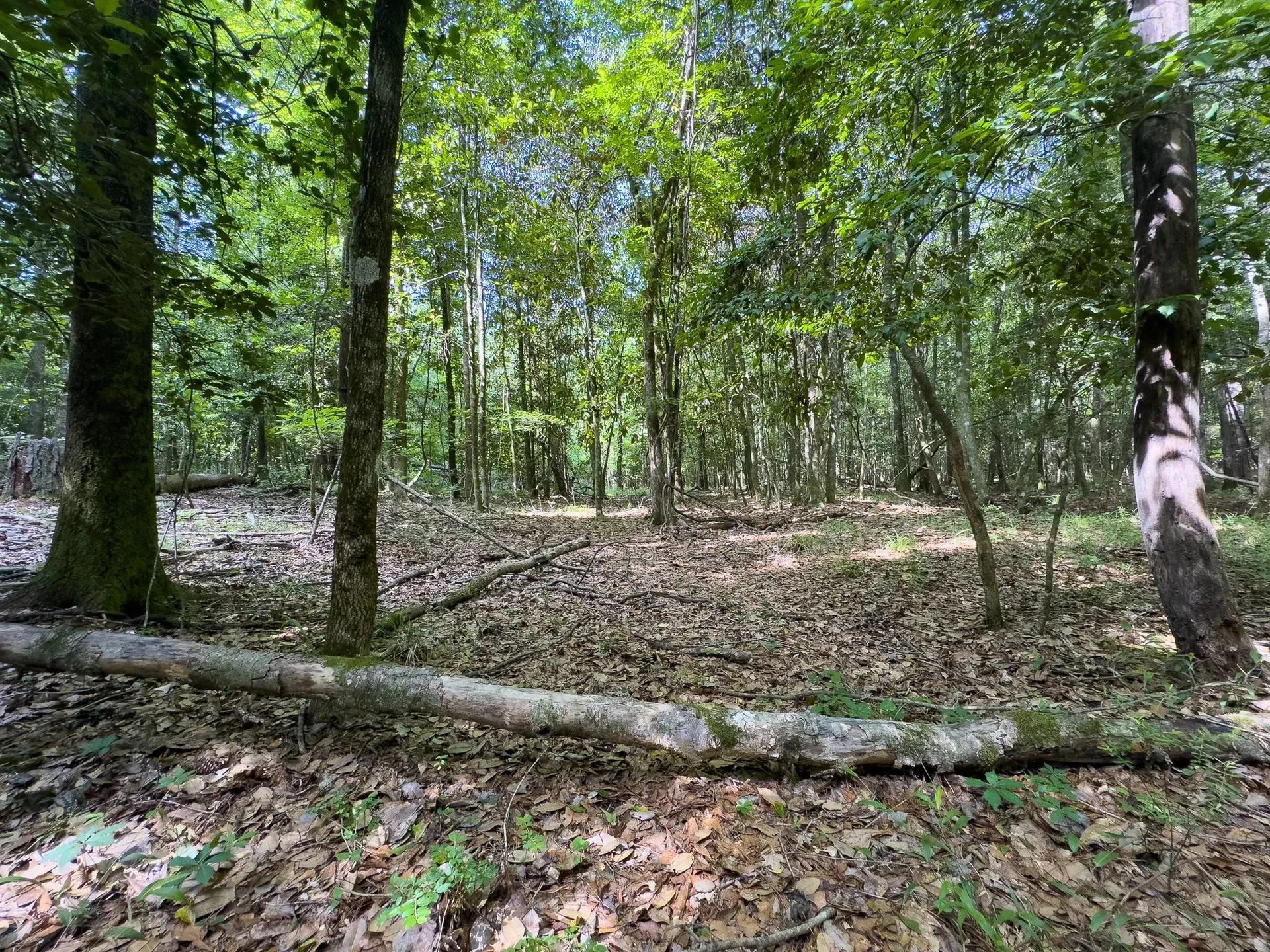17353714-10