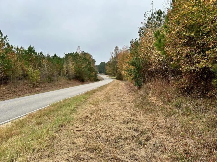 +/- 91 Acres Vernon Alabama