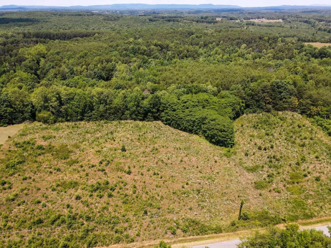 48.28 Acres — Premier Hunting & Recreational Land | Pittsylvania County, Virginia | Hinesville Road | Just Outside Danville, VA
